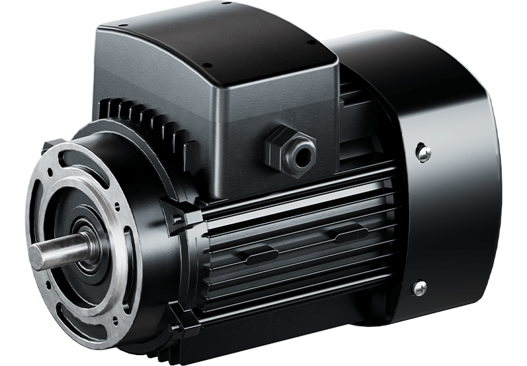 Vertical Pump Motor